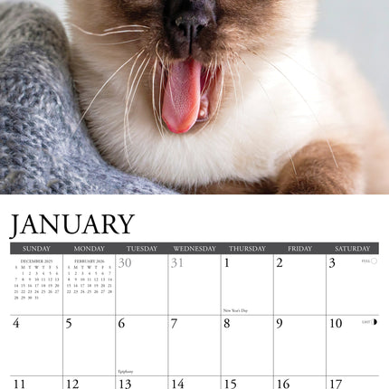 Willow Creek Siamees Kalender 2026
