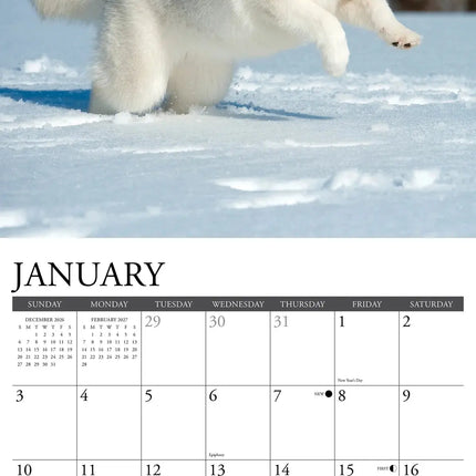 Willow Creek Siberische Husky Kalender 2027