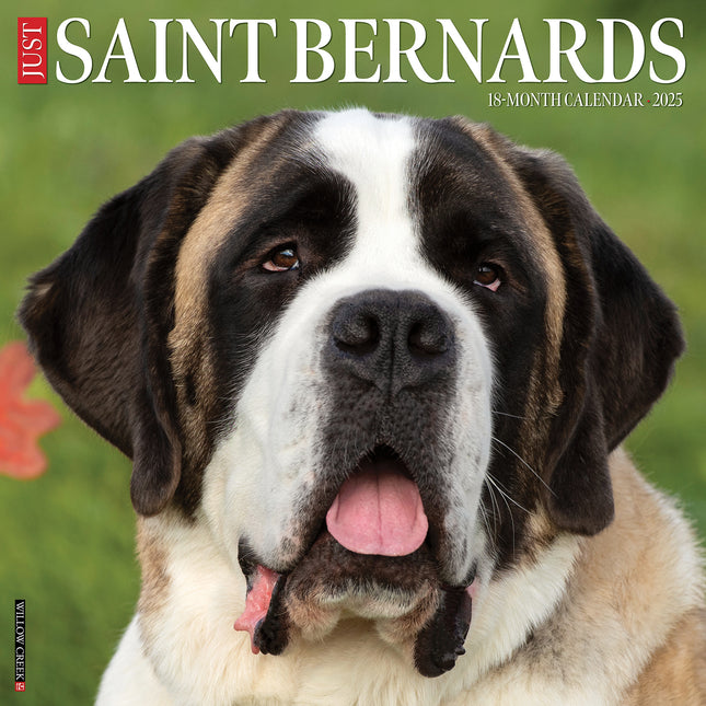 Willow Creek Sint Bernard Kalender 2025