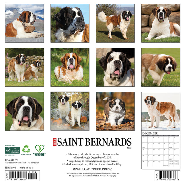 Willow Creek Sint Bernard Kalender 2025