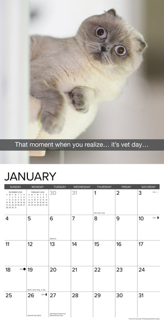 Willow Creek Snapcats Kalender 2026