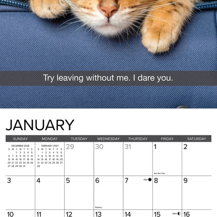 Willow Creek Snapcats Kalender 2027