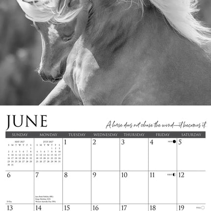 Willow Creek Spirit of the Horse Kalender 2027