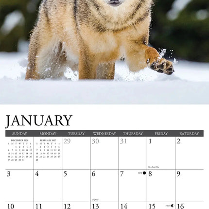 Willow Creek Spirit of the Wolf Kalender 2027