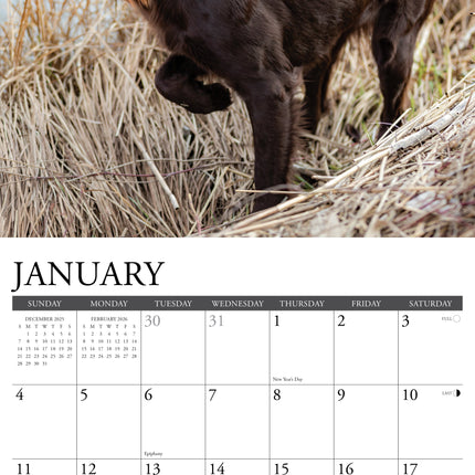 Willow Creek Sportieve Honden Kalender 2026
