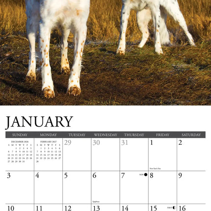 Willow Creek Sportieve Honden Kalender 2027