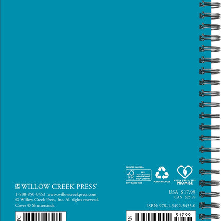 Willow Creek Strand Agenda 2027