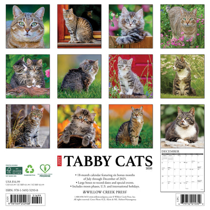 Willow Creek Tabby Katten Kalender 2026