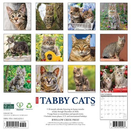 Willow Creek Tabby Katten Kalender 2027