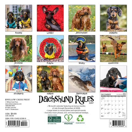 Willow Creek Teckel Kalender 2027 Mini