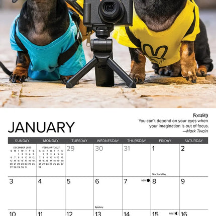 Willow Creek Teckel Kalender 2027 Mini