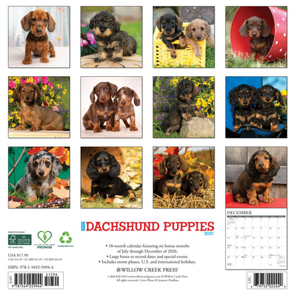 Willow Creek Teckel Puppies Kalender 2027