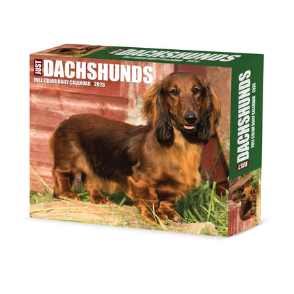 Willow Creek Teckel Scheurkalender 2026 Boxed