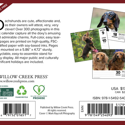 Willow Creek Teckel Scheurkalender 2026 Boxed