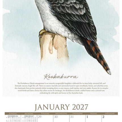 Willow Creek The Art of Birds Kalender 2027