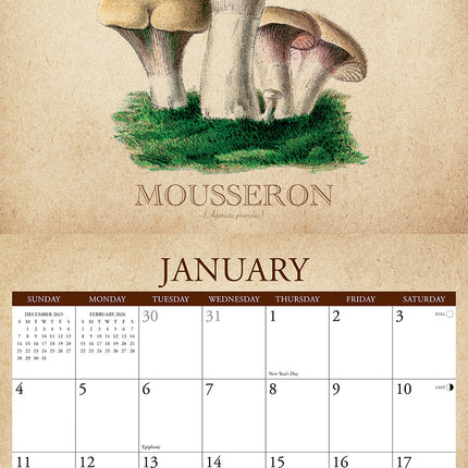 Willow Creek The Art of the Mushroom Kalender 2026