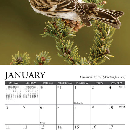 Willow Creek Tuinvogel Kalender 2026 Mini