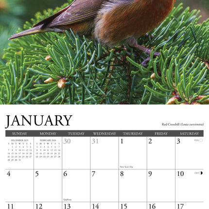 Willow Creek Tuinvogels Kalender 2027