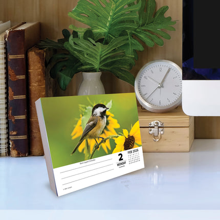 Willow Creek Tuinvogels Scheurkalender 2026 Boxed