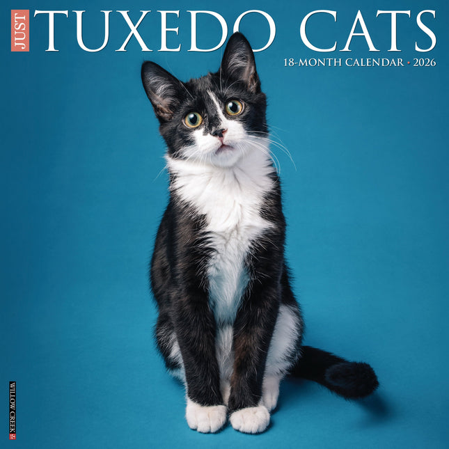 Willow Creek Tuxedo Katten Kalender 2026