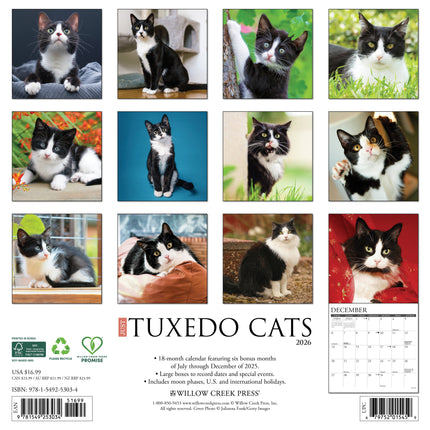 Willow Creek Tuxedo Katten Kalender 2026