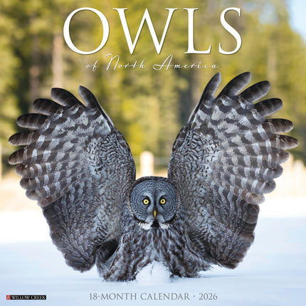 Willow Creek Uilen Kalender 2026