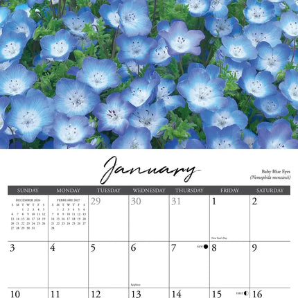 Willow Creek Veldbloemen Kalender 2027