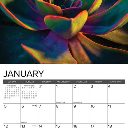 Willow Creek Vetplanten Kalender 2025