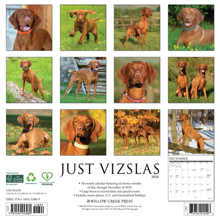 Willow Creek Vizsla Kalender 2026