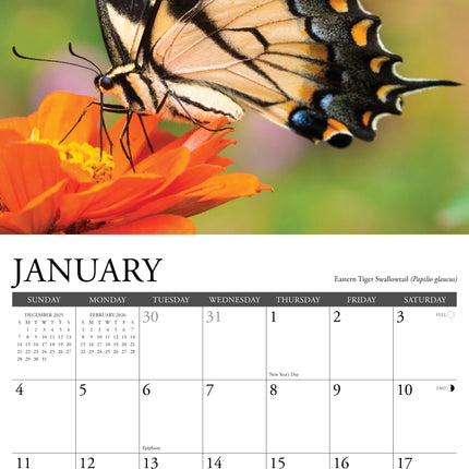 Willow Creek Vlinder Kalender 2026