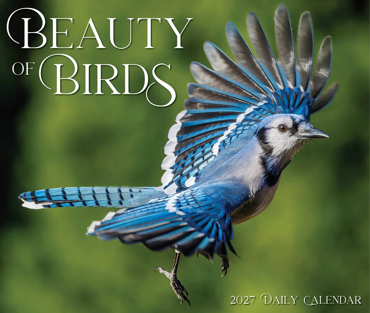 Willow Creek Vogels Scheurkalender 2027 Boxed