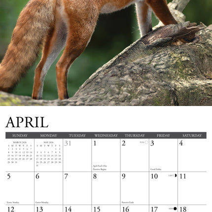 Willow Creek Vossen Kalender 2026