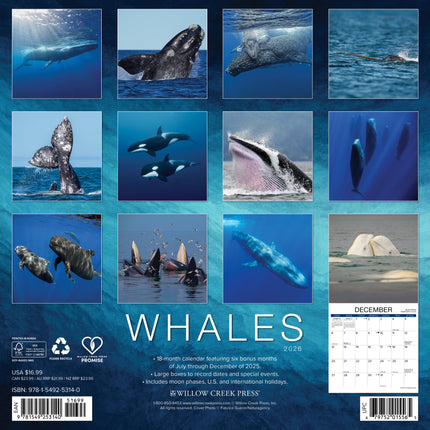 Willow Creek Walvissen Kalender 2026