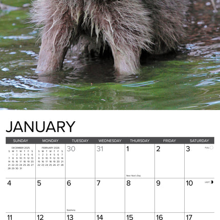 Willow Creek Wasbeer Kalender 2026