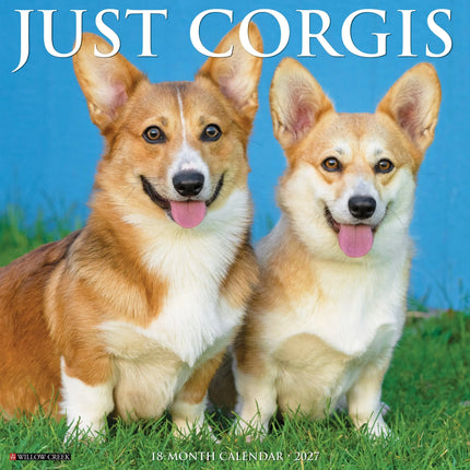 Willow Creek Welsh Corgi Kalender 2027