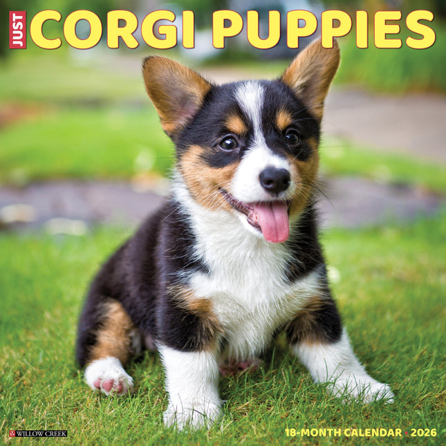 Willow Creek Welsh Corgi Puppies Kalender 2027