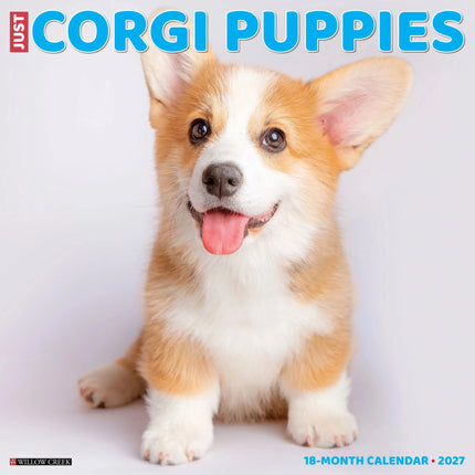 Willow Creek Welsh Corgi Puppies Kalender 2027