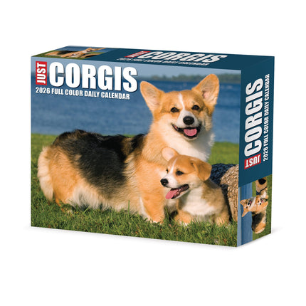 Willow Creek Welsh Corgi Scheurkalender 2026 Boxed