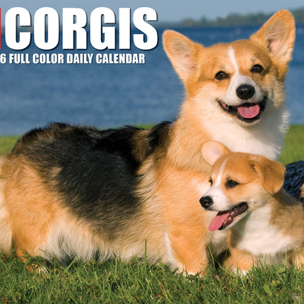 Willow Creek Welsh Corgi Scheurkalender 2026 Boxed