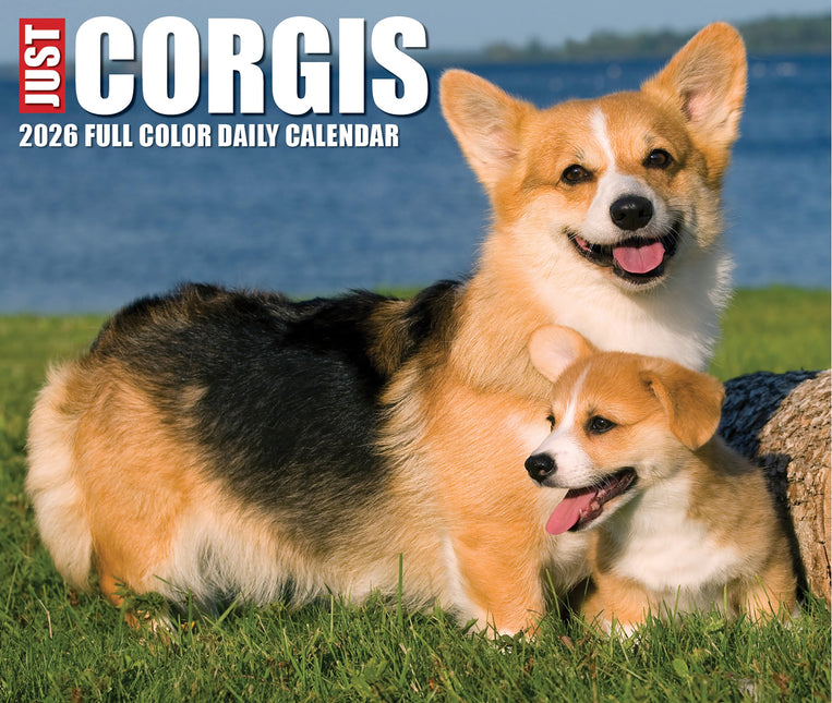 Willow Creek Welsh Corgi Scheurkalender 2027 Boxed