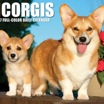 Willow Creek Welsh Corgi Scheurkalender 2027 Boxed