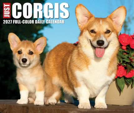Willow Creek Welsh Corgi Scheurkalender 2027 Boxed