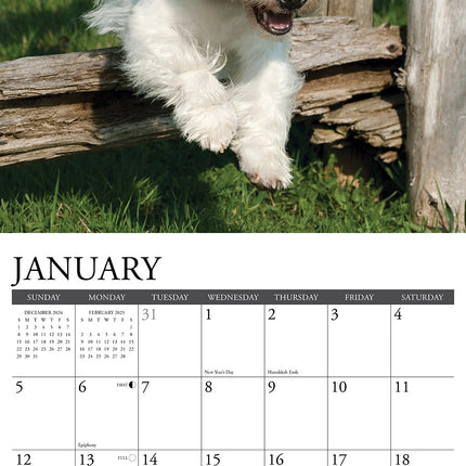 Willow Creek West Highland White Terrier Kalender 2025