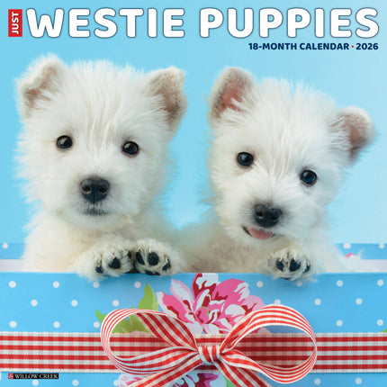 Willow Creek West Highland White Terrier Puppies Kalender 2026