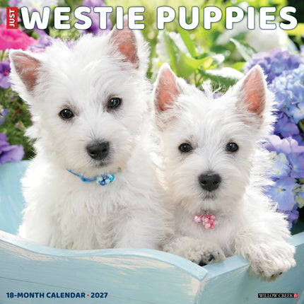 Willow Creek West Highland White Terrier Puppies Kalender 2027