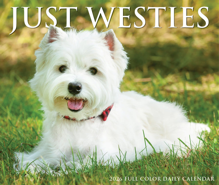 Willow Creek West Highland White Terrier Scheurkalender 2027 Boxed