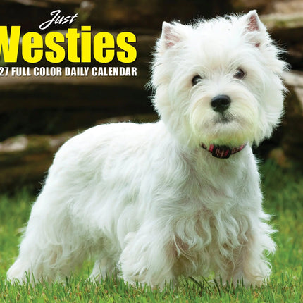 Willow Creek West Highland White Terrier Scheurkalender 2027 Boxed