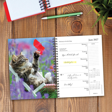 Willow Creek What Cats Teach Us Agenda 2027