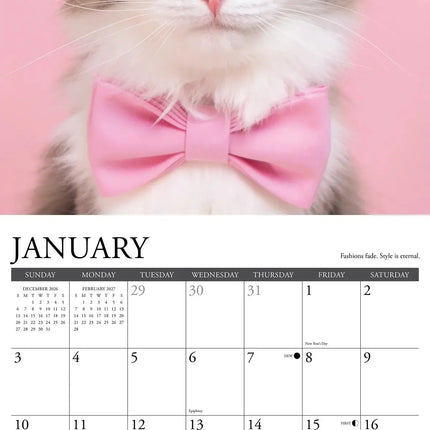 Willow Creek What Cats Teach Us Kalender 2027