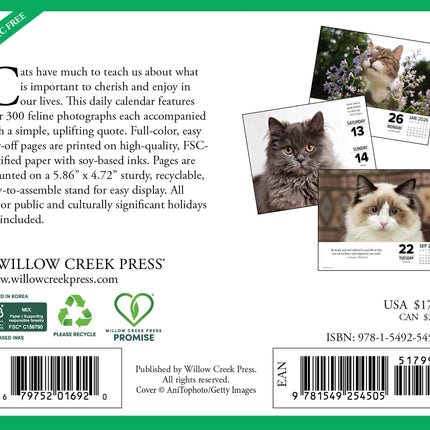 Willow Creek What Cats Teach Us Scheurkalender 2026 Boxed